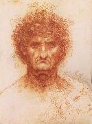 LEONARDO da Vinci Buste one frontal to seeing man and head of a Lowen France oil painting artist